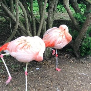 Meet your Posher, Jaclyn